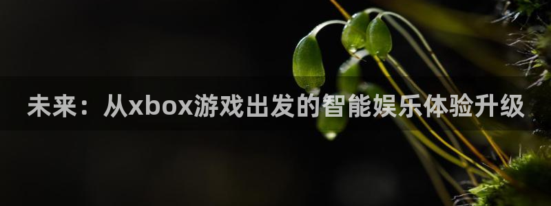 沐鸣注册平台：未来：从xbox游戏出发的智能娱乐体验升级