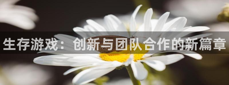 沐鸣代理登陆