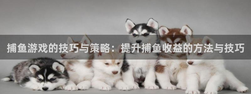 沐鸣在线登录网址：捕鱼游戏的技巧与策略：提升捕鱼收益的方法与