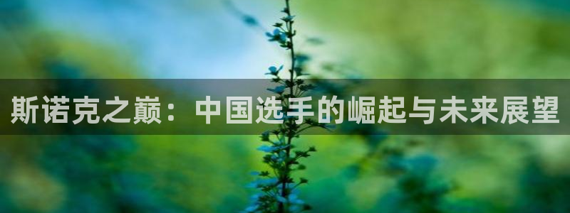 沐鸣1在线登录：斯诺克之巅：中国选手的崛起与未来展望