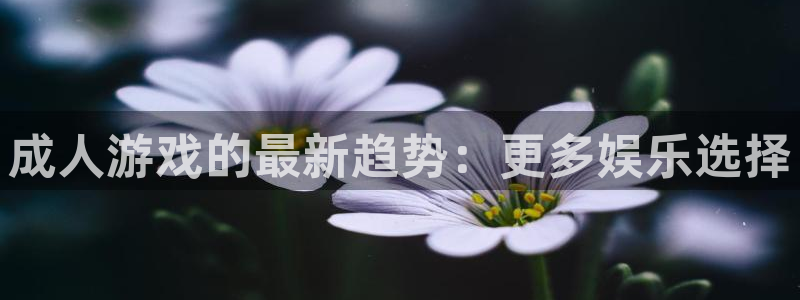 沐鸣总代理：成人游戏的最新趋势：更多娱乐选择